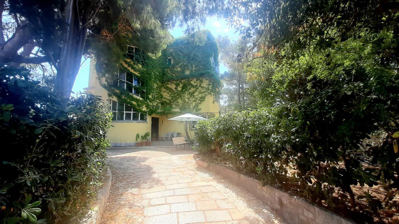 Old Captain'S Apartments - In A Pine Wood By The Sea And Tennis Courts Σπλιτ Εξωτερικό φωτογραφία