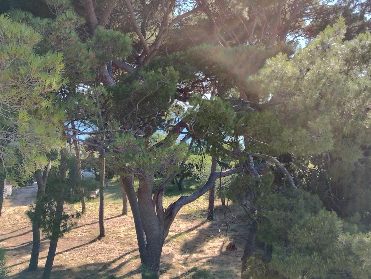 Old Captain'S Apartments - In A Pine Wood By The Sea And Tennis Courts Σπλιτ Εξωτερικό φωτογραφία